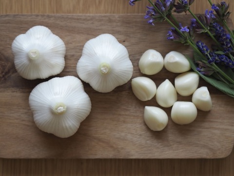 にんにくの概念が変わる!「生にんにく」24玉【数量限定】6月中旬以降お届け