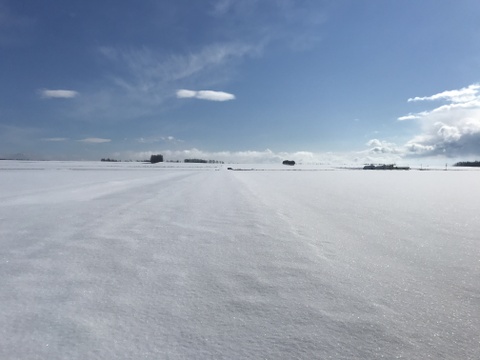 【北海道十勝はまだ白銀の世界❄️大正メークイン】4.5kg
『完熟じゃがいも』これからが最高に美味しい時です❗️
甘さが違う‼️
是非ご賞味を…