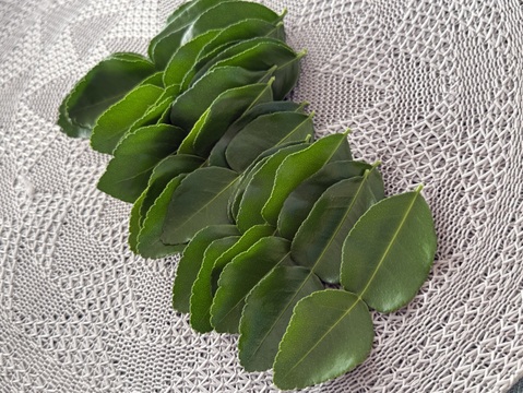 こぶミカンの葉 バイマックルー 約100g