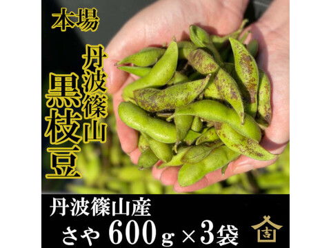 【先行予約スタート】 丹波篠山 黒枝豆 枝豆 丹波 黒豆 600g × 3 丹波篠山産 2024年 丹波 枝豆 もっちり 黒大豆 大粒 波部黒 丹波黒 高級 1800g 黒大豆枝豆 枝なし さや