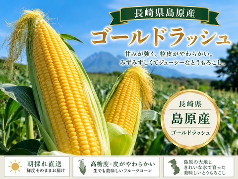糖度抜群！島原の太陽が育てたゴールドラッシュ とうもろこし　１０本セット