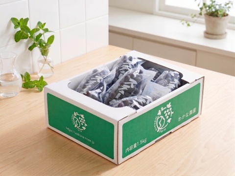 試食品】糖度20度超え！聖地・鶴田町産 お味見スチューベン 1.5kg（SS