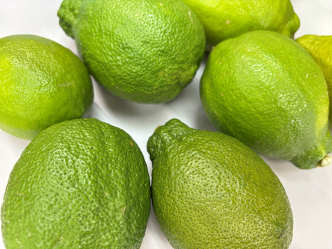 【山形県白鷹町産】キリっとスッキリ！グリーンレモン　璃の香  1kg