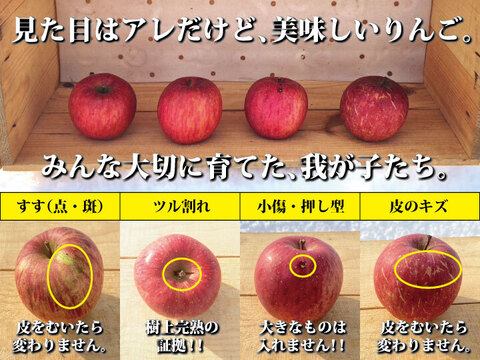 【朝市限定】【毎年１万箱以上売れてます】約３キロ 青森県産りんご「樹上完熟葉とらずふじ」家庭用厳選品