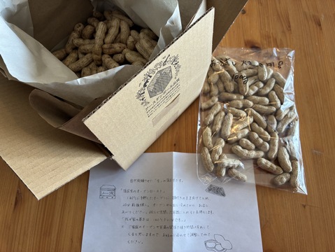 乾燥生落花生（油豆）在来種　600g　【おまけで試し焼き用100g増量❗】