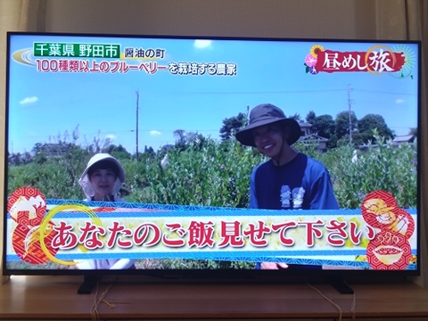 化学肥料・農薬不使用！　冷凍ブルーベリー１ｋｇ