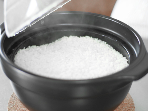 【令和7年新米】【3ヶ月定期】新潟県保内産幻のコシヒカリ 4.8kg