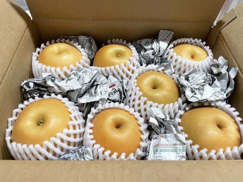 令和8年9月発送【予約】梨 南水 良品　3kg 長野県産　大好評‼️