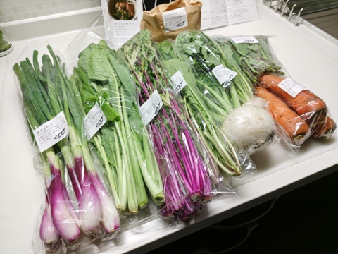 【農薬・化学肥料・動物性堆肥 不使用】旬のお野菜８種類セット｜ふつうサイズ