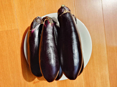 中長ナス【筑陽】2.5kg/箱（13本～17本）