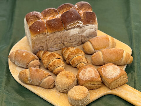 全部有機！【福袋】2026ごほうび1：パンセット⑯+シフォンケーキ　Plain：麦の栽培から一貫生産　自然栽培有機小麦のみ使用したバターがおいしい有機パン＆有機シフォンケーキ