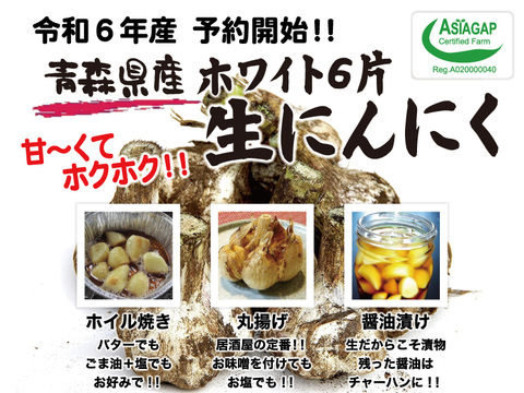 【予約限定】約３キロ！青森県産 最高級品種 ホワイト6片の生にんにく【令和６年新物】