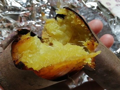 新生姜　べにはるかセット【農薬・化学肥料 不使用】