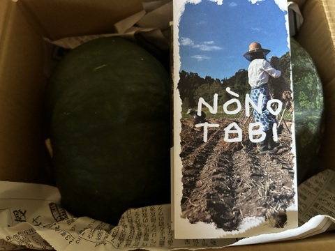 『夏の贈りもの』完熟ほくほく甘い栗かぼちゃ(約3Kg:2個)※栽培期間中農薬・化学肥料不使用