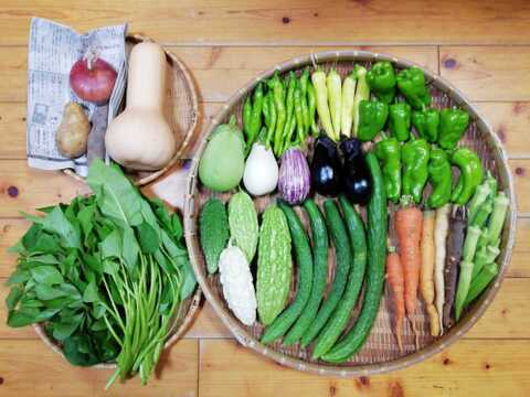 【農薬化学肥料不使用】おまかせ野菜セット【８種類以上の野菜】【金曜日発送】【熨斗(のし)対応可】【８０サイズ箱】