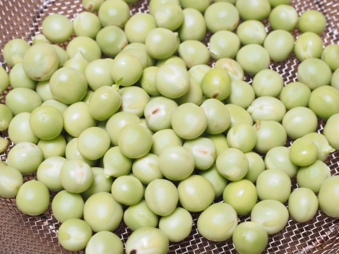 【お試し特価品】実えんどう豆/うすいえんどう豆(アラスカ)