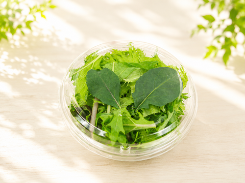 【小容量】日常使いに！洗わずに食べられるレタス6点セット（420ｇ）
