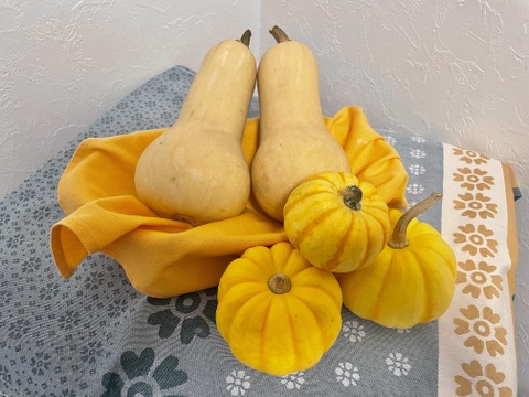 【小ぶりの訳ありセット】プッチィーニ8個で1000円、お買い得かぼちゃセット🎃小さめだけど味は美味しい、秋の味覚をひと足先にご賞味あれ！栽培期間中農薬不使用・レンジ調理可のレシピ付き