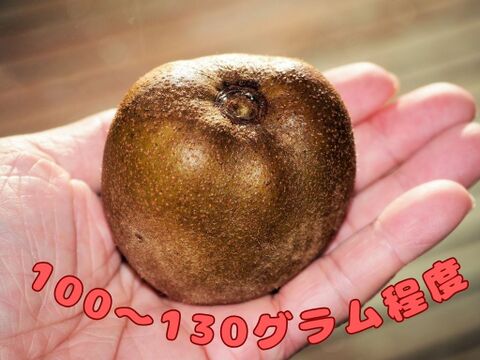 「アップルキウイ」甘い！黄色果肉種　1kg