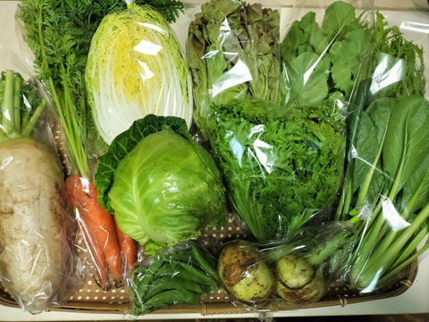 【初回限定BOX】旬の野菜セット７品【農薬・化学肥料不使用】
