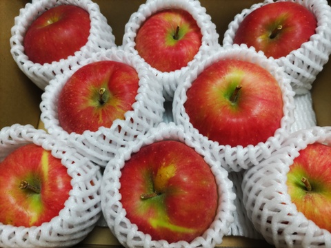 【夏あかり２ｋｇ】甘くて硬い味の濃い、日保ちする夏りんご。皮ごと食べられ、キャンプや夏山登山のおやつに最適！