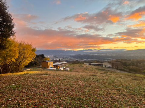 【平飼い 有精卵】自然養鶏「子持生命卵 kinari」10個入パック×２
