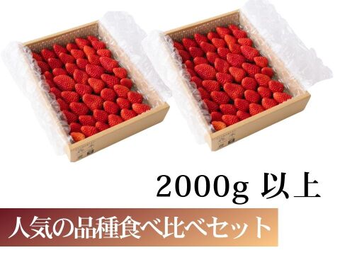 【食べ比べ】お得な大満足の2000g食べ比べセット！人気品種「紅ほっぺ」1000g+静岡限定品種「きらぴ香」1000g or 希少品種「おいCベリー」1000gのどちらかのランダムパック!