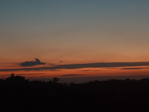 自然栽培なす　焼き茄子、正直とろけます！【予約販売開始　数量限定】自然栽培★希少固定種 在来種専門農家（ Awaji369farmからお届け）農薬不使用　無肥料栽培【淡路島産　固定種　なす1.5kg】