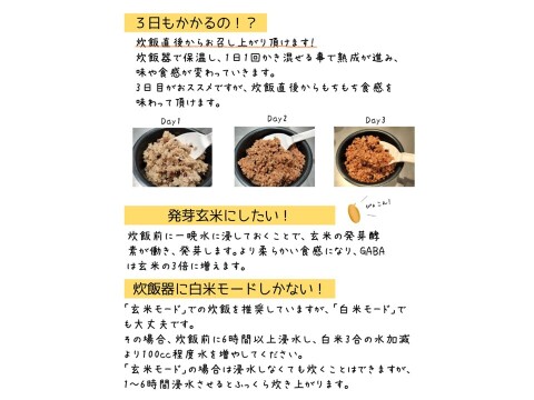 お家で簡単！【 熟成玄米ご飯（酵素玄米） 】手作りセット　3合パック×6個　新潟県弥彦村産コシヒカリ