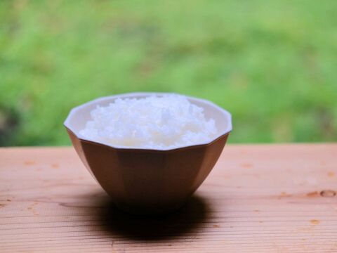 鳥取の清流育ち　令和7年産新米【星空舞】5kg｜冷蔵保存で鮮度抜群！