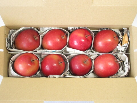 【超希少品種】果肉まで赤～いりんご『栄紅』超かわいいサイズちょっとB品18個(約2kg)