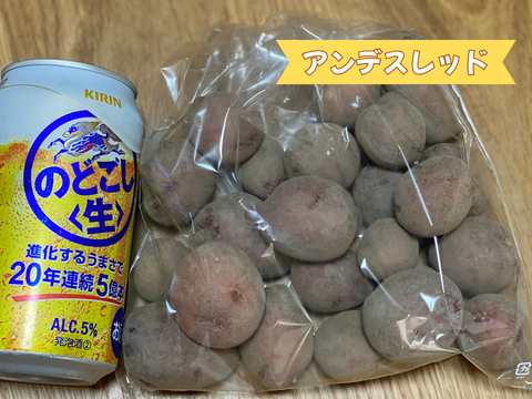 春採りじゃがいもミニ❗️４種類食べ比べ【アンデスレッド、男爵、キタアカリ、メークイン】