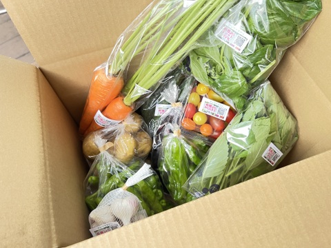 ☆有機JAS認証☆おまかせ野菜セット☆100サイズ箱詰め