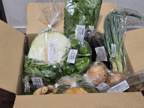 定期便限定!【旬のVEGE箱（80サイズ）】土壌医＆有機農家がつくる！畑の「今」を箱いっぱいにつめこんだ野菜セット（約11〜12品種）
