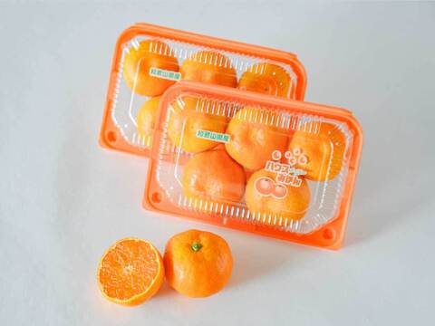 温州みかん　ハウスみかん　5個入4パック