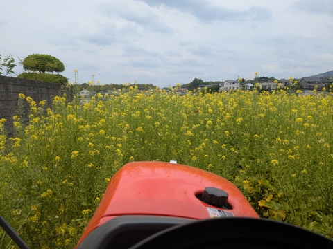 令和7年　奈良県産　ヒノヒカリ　玄米　10kg　栽培期間中農薬不使用