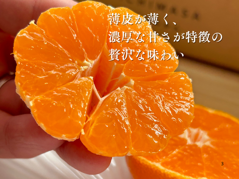 超完熟宮川早生⭐︎屋根かけ越冬みかん　5キロ2Sサイズギフトにも！　有田みかん　早生みかん