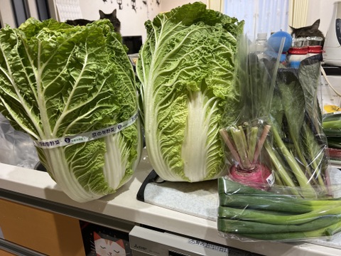 オレンジクイン白菜2玉+2品目【漢方栽培】