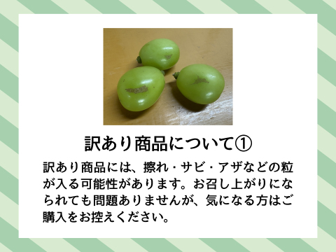 訳あり！お得な粒の『シャインマスカット』約1kg