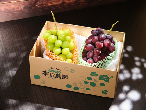 長野県産】シャインマスカット【ギフト用】 500g 2房 熨斗対応可：長野