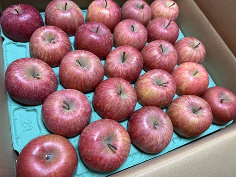 【数量限定・小玉】青森県産りんご「サンふじ」家庭用 キズ有 約5kg【美味・光センサー選果済】