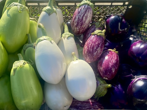 【栽培期間中：農薬不使用】季節の彩り野菜セット　Lサイズ