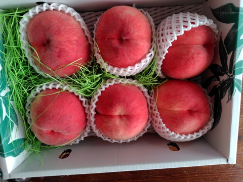桃 果物 山梨県 きろたん 夏のギフト・7月下旬】かたい桃「おどろき」約3kg・9～12玉1箱山梨県