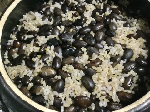 ＊規格外・B品＊◎自然栽培◎黒五葉（黒豆）1kg＜令和6年・山形県鶴岡産＞