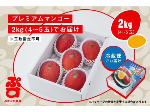 【夏ギフト】ぷすぷすプレミアムマンゴー2キロ（4～5玉）