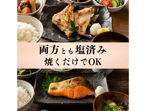 切り身セット 食べくらべ【沼津産 塩鯛カマ 800g】