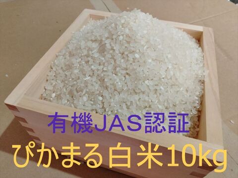 有機JAS認証【農薬不使用「ぴかまる」白米10kg】美味しくもちもち柔らか 2025年兵庫県産「タガメの里・自然米」