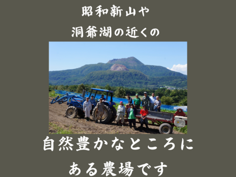 有機小豆800ｇ (400g袋×2）北海道の大地で育ったふっくら柔らか「きたろまん」 １２月１８日ころから発送を開始予定 　　令和７年度産
