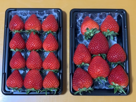 【希少あまりん】４パック(1Kg) 朝採れ🍓