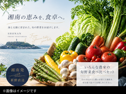 いろんな農家の旬野菜食べ比べBOX